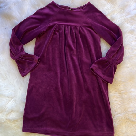 Like New Tea Collection Bell Sleeve Velour Dress, size 10 - Picture 2 of 5